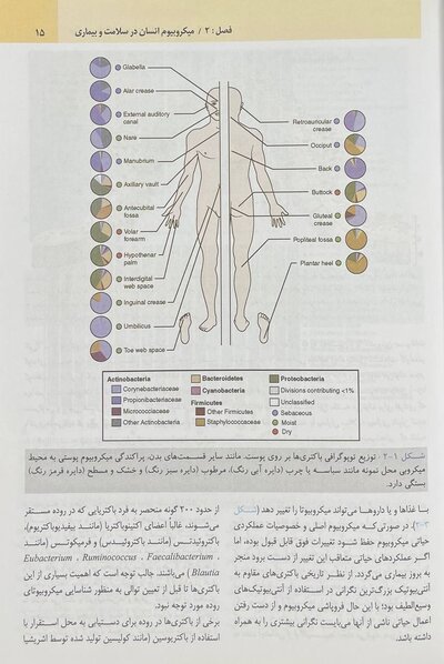 میکروب شناسی پزشکی مورای باکتری شناسی 2021