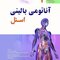 آناتومی بالینی اسنل 2019  اندام