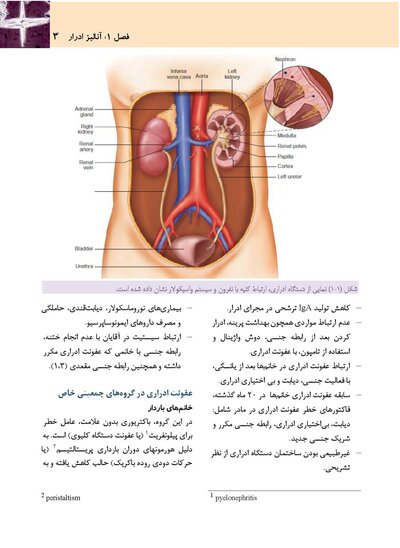 آنالیز ادرار و مدفوع