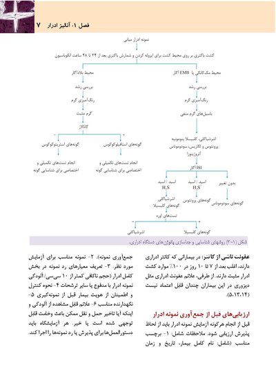 آنالیز ادرار و مدفوع