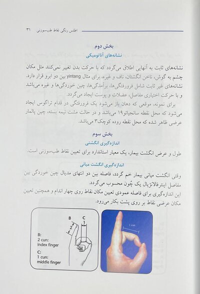 اطلس رنگی نقاط طب سوزنی و فشاری