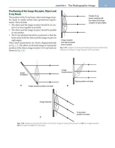 Essentials of Dental Radiography and Radiology 2021