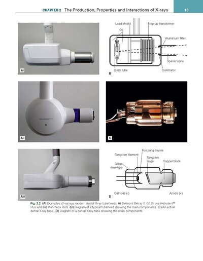 Essentials of Dental Radiography and Radiology 2021