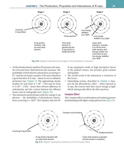 Essentials of Dental Radiography and Radiology 2021