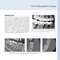 Essentials of Dental Radiography and Radiology 2021
