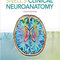 Snell's Clinical Neuroanatomy 8th Edicion