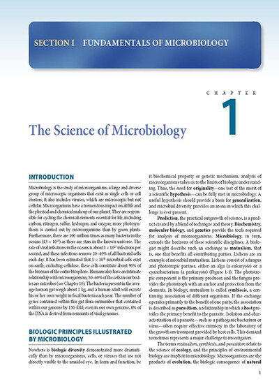 Jawetz Melnick & Adelbergs Medical Microbiology 28 E