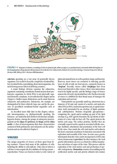 Jawetz Melnick & Adelbergs Medical Microbiology 28 E