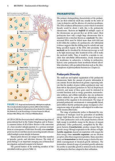 Jawetz Melnick & Adelbergs Medical Microbiology 28 E