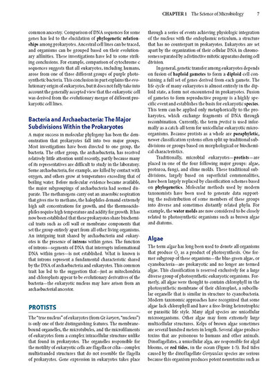 Jawetz Melnick & Adelbergs Medical Microbiology 28 E