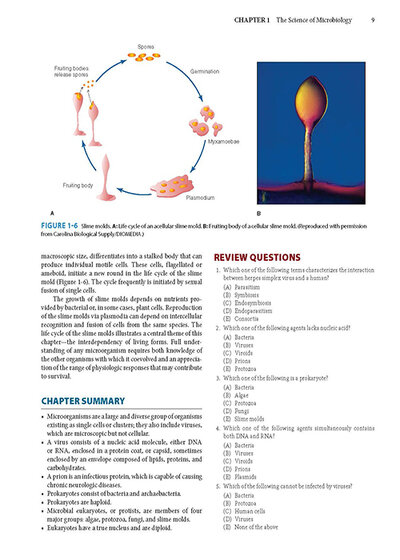 Jawetz Melnick & Adelbergs Medical Microbiology 28 E