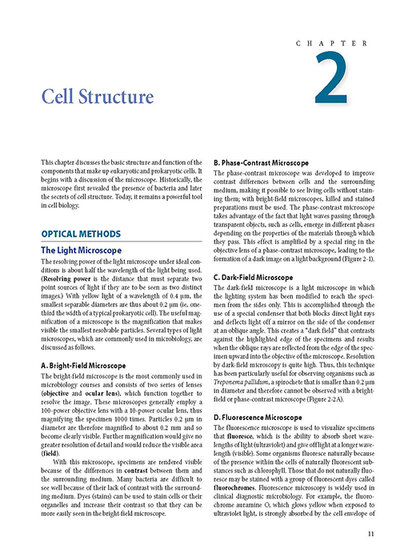 Jawetz Melnick & Adelbergs Medical Microbiology 28 E