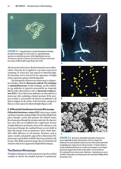 Jawetz Melnick & Adelbergs Medical Microbiology 28 E