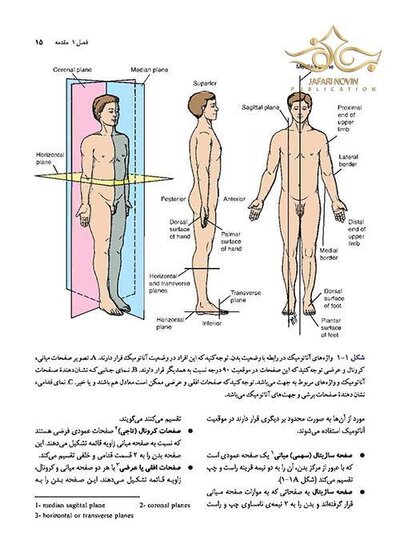 آناتومی بالینی اسنل تنه جلداول  2019
