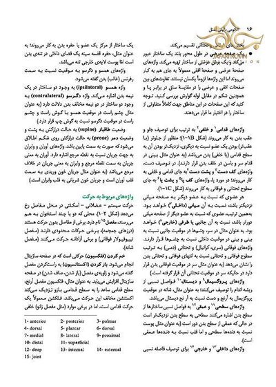 آناتومی بالینی اسنل تنه جلداول  2019