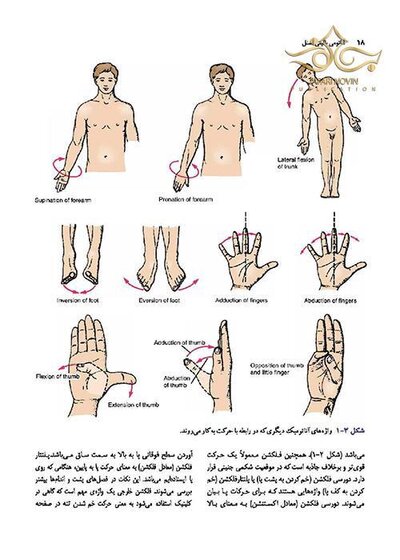 آناتومی بالینی اسنل تنه جلداول  2019