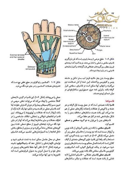آناتومی بالینی اسنل تنه جلداول  2019