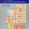 Cosmetic Injection Techniques
