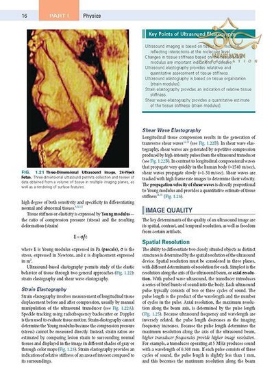 Diagnostic Ultrasound,2018 2-Volume Set 5th Edition
