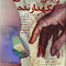 راینوپلاستی نگهدارنده