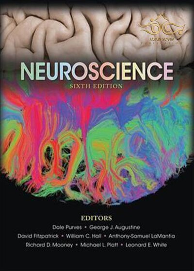 Neuroscience 6th Edition