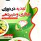 تغذیه در دوران بارداری و شیردهی بر اساس آخرین دانش موجود