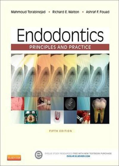 Endodontics : Principles and Practice