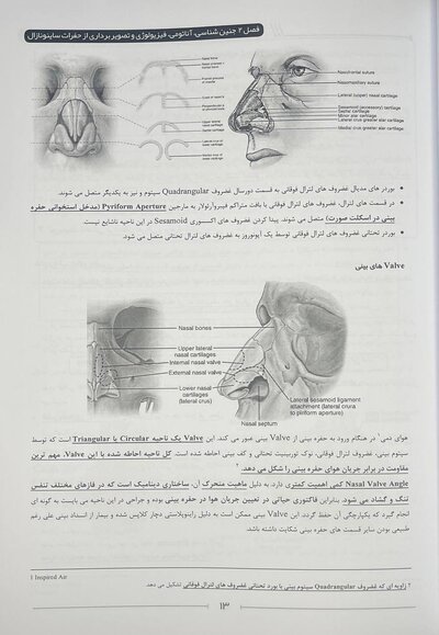 از نگاهی دیگر تصویر برداری سر و گردن som