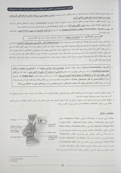 از نگاهی دیگر تصویر برداری سر و گردن som