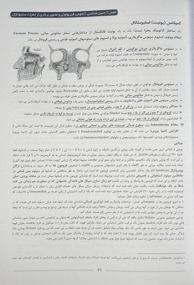 از نگاهی دیگر تصویر برداری سر و گردن som