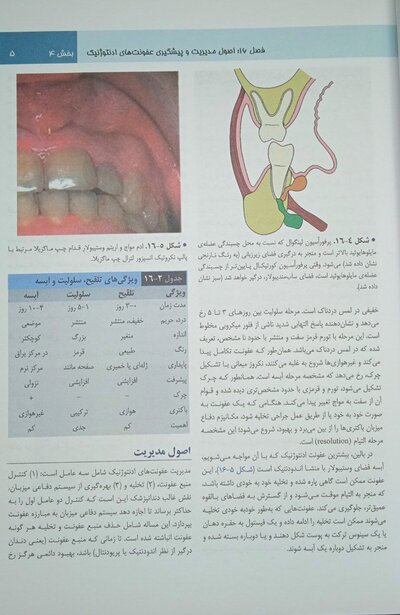 اصول جراحی دهان فک و صورت نوین پیترسون 2019 جلد 2