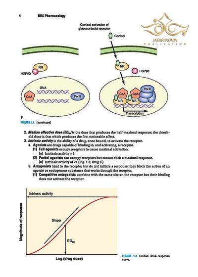 BRS Pharmacology 7th Edition