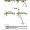 BRS Pharmacology 7th Edition