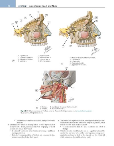 Review of Plastic Surgery