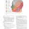 Review of Plastic Surgery