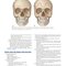 Review of Plastic Surgery