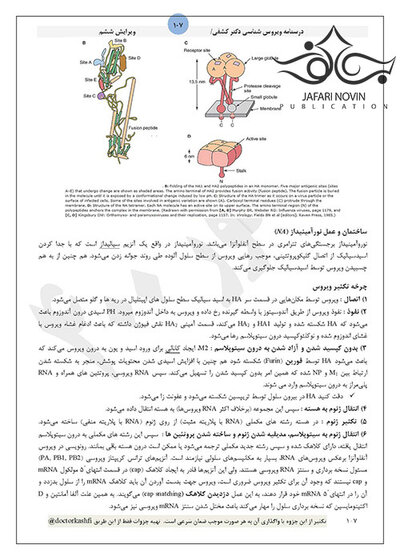 جزوه درسنامه ویروس شناسی