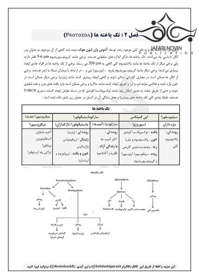 جزوه انگل شناسی ( تک یاخته شناسی )ویرایش هفتم
