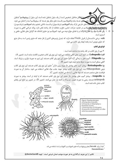 جزوه انگل شناسی ( تک یاخته شناسی )ویرایش هفتم