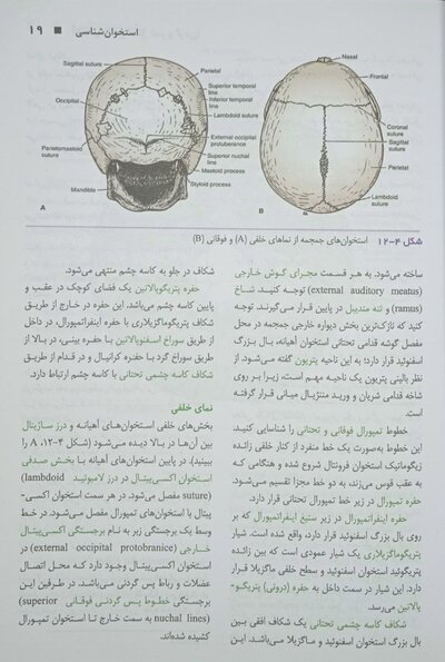 آناتومی بالینی اسنل 2019 سر و گردن