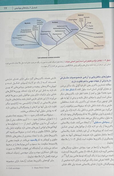 اصول بیوشیمی لنینجر 2021 ویرایش هشتم 5 استاد جلد اول