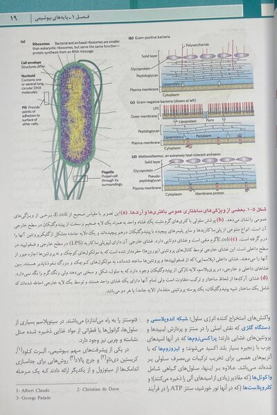 اصول بیوشیمی لنینجر 2021 ویرایش هشتم 5 استاد جلد اول