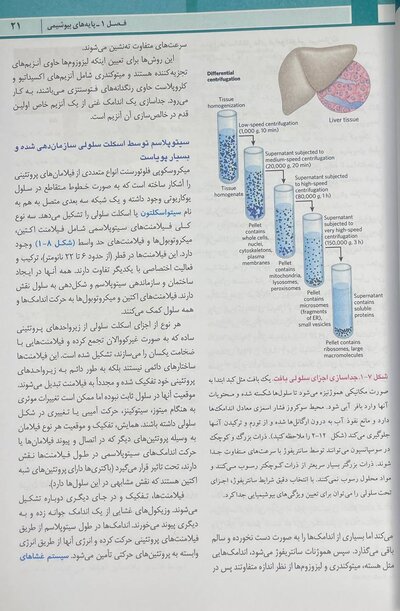 اصول بیوشیمی لنینجر 2021 ویرایش هشتم 5 استاد جلد اول