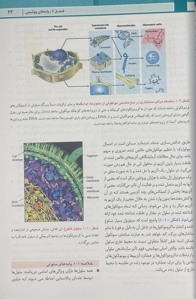 اصول بیوشیمی لنینجر 2021 ویرایش هشتم 5 استاد جلد اول
