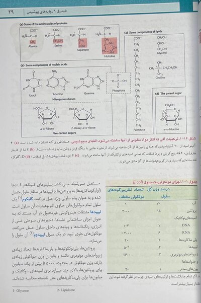 اصول بیوشیمی لنینجر 2021 ویرایش هشتم 5 استاد جلد اول