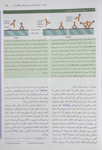 بافت شناسی جان کوئیرا 2021 (شومیز)