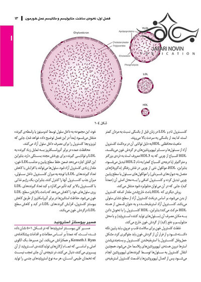آندوکرینولوژی‏ بالینی‏ زنان و ناباروری اسپیروف 2020