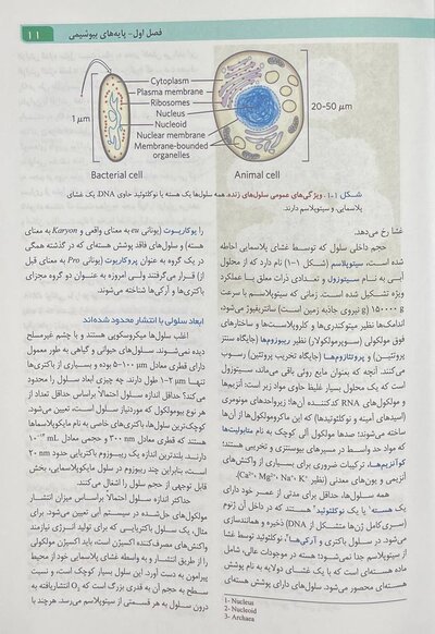 اصول بیوشیمی لنینجر 2021 ویرایش هشتم جلد اول
