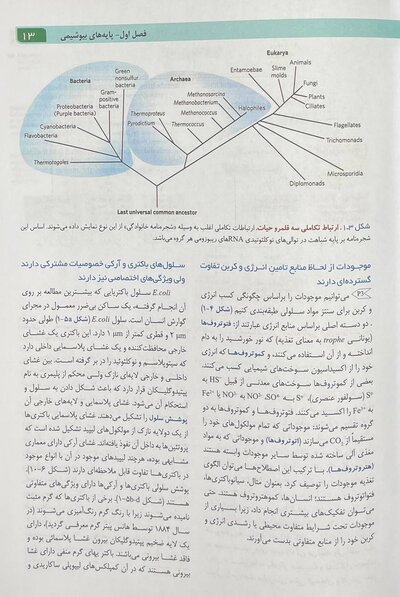 اصول بیوشیمی لنینجر 2021 ویرایش هشتم جلد اول
