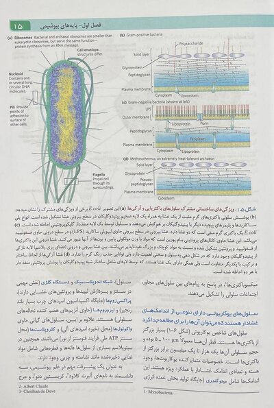اصول بیوشیمی لنینجر 2021 ویرایش هشتم جلد اول